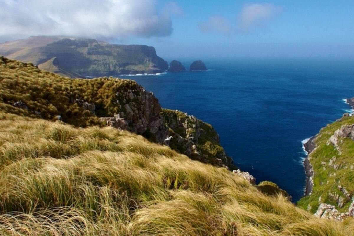 Unseen Fiordland and Stewart Island: Exploring New Zealand's Remote Backyard