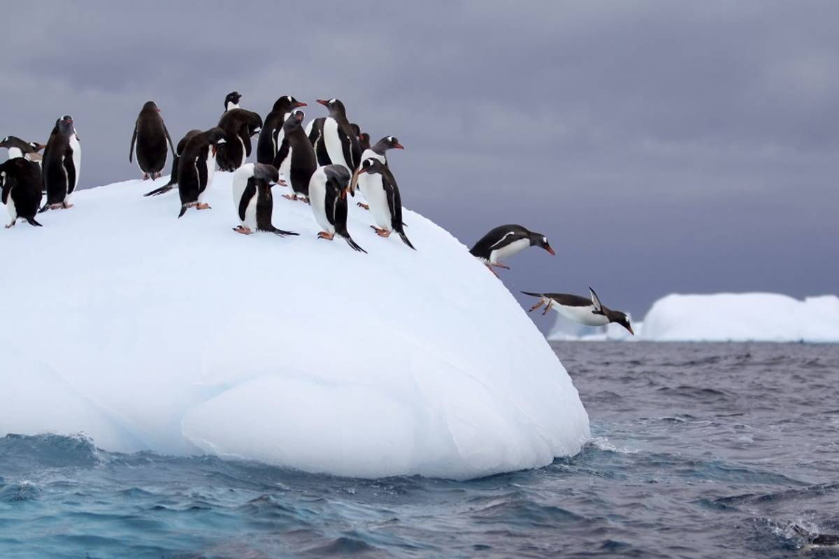 In the Wake of Scott and Shackleton