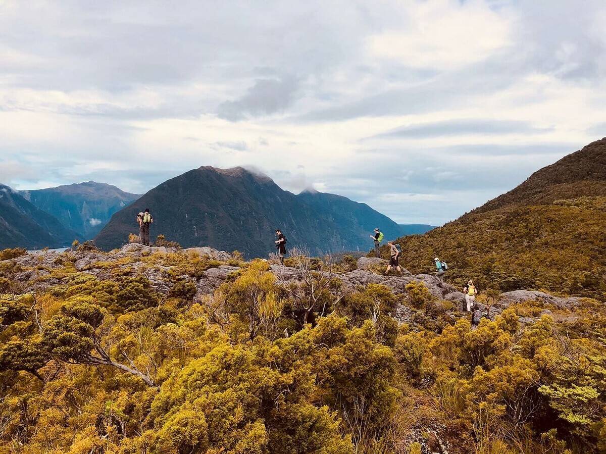 Unseen Fiordland and Stewart Island: Exploring New Zealand's Remote Backyard Masthead